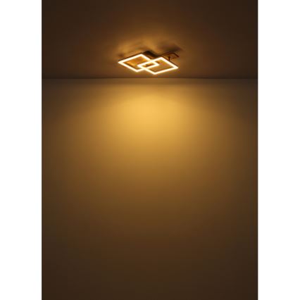 Globo - LED-kattovalaisin LED/16W/230V 3000K 33x44 cm