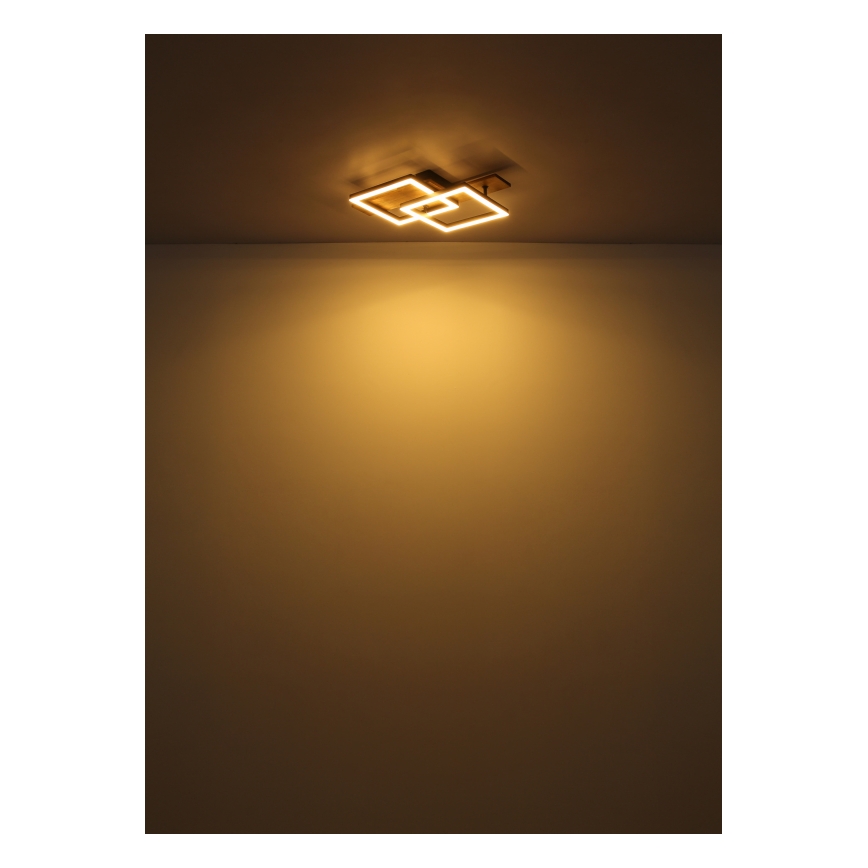 Globo - LED-kattovalaisin LED/16W/230V 3000K 33x44 cm