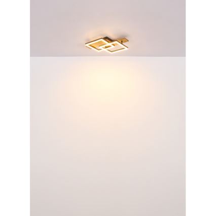 Globo - LED-kattovalaisin LED/16W/230V 3000K 33x44 cm
