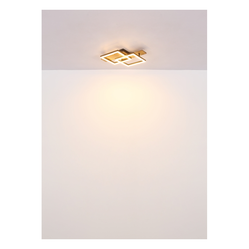 Globo - LED-kattovalaisin LED/16W/230V 3000K 33x44 cm