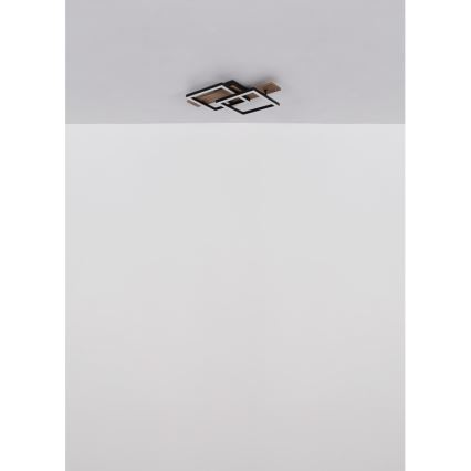 Globo - LED-kattovalaisin LED/16W/230V 3000K 33x44 cm