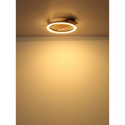 Globo - LED-kattovalaisin LED/12W/230V 3000K 30x34 cm