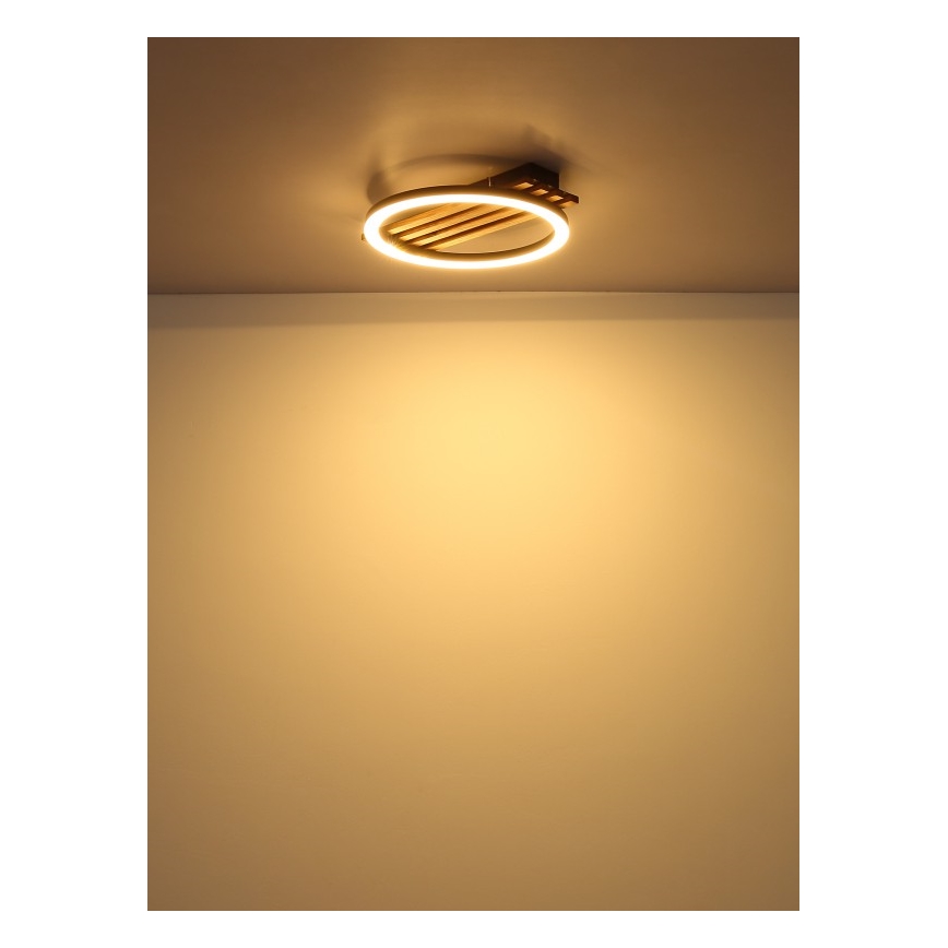 Globo - LED-kattovalaisin LED/12W/230V 3000K 30x34 cm