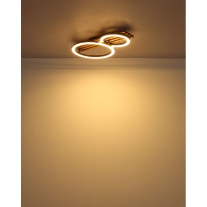Globo - LED-kattovalaisin LED/18W/230V 3000K 30x48 cm