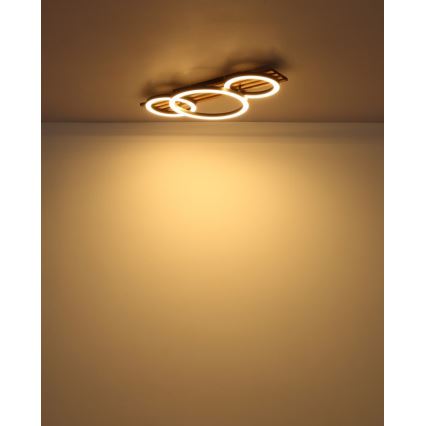 Globo - LED-kattovalaisin LED/24W/230V 3000K 30x62 cm