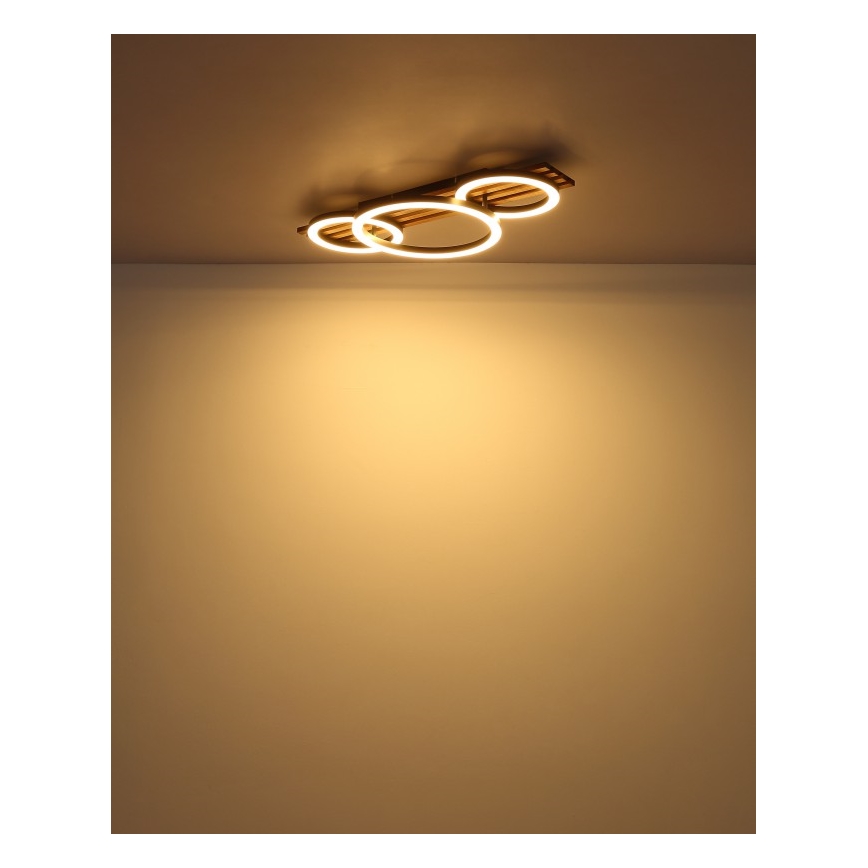 Globo - LED-kattovalaisin LED/24W/230V 3000K 30x62 cm