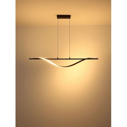 Globo - LED-riippuvalaisin vaijerilla LED/30W/230V 3000K