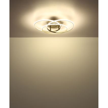 Globo - LED-kattovalaisin LED/40W/230V 4000K halkaisija 45,6 cm mattakromi