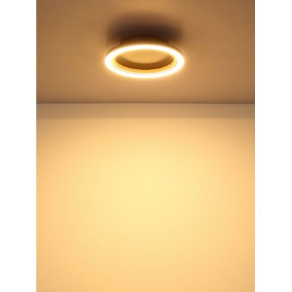 Globo - LED-kattovalaisin 12W/230V 3000K Ø 20,5 cm