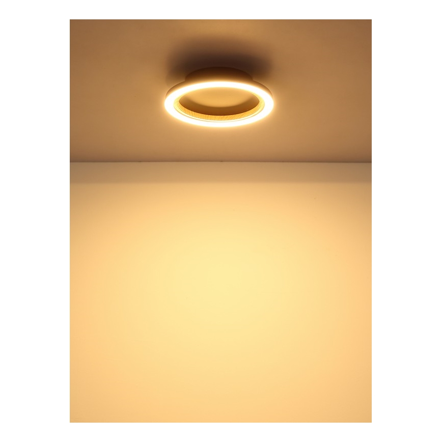 Globo - LED-kattovalaisin 12W/230V 3000K Ø 20,5 cm