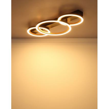 Globo - LED-kattovalaisin LED/40W/230V 3000K 58x30 cm