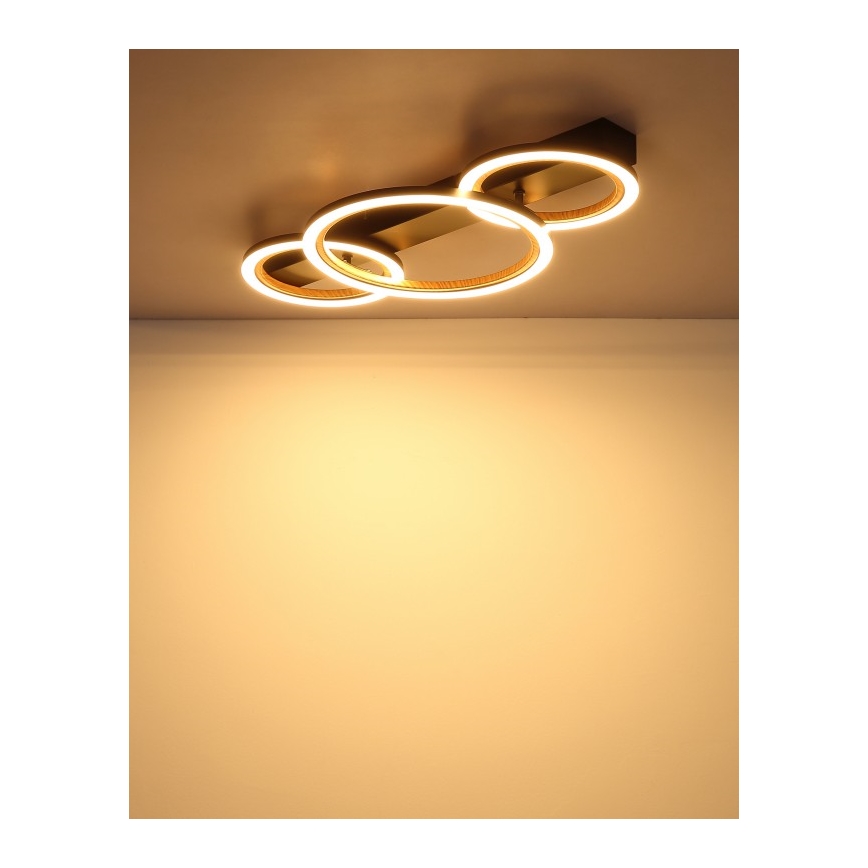 Globo - LED-kattovalaisin LED/40W/230V 3000K 58x30 cm