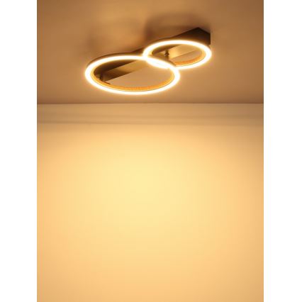 Globo - LED-kattovalaisin LED/30W/230V 3000K 44x30 cm