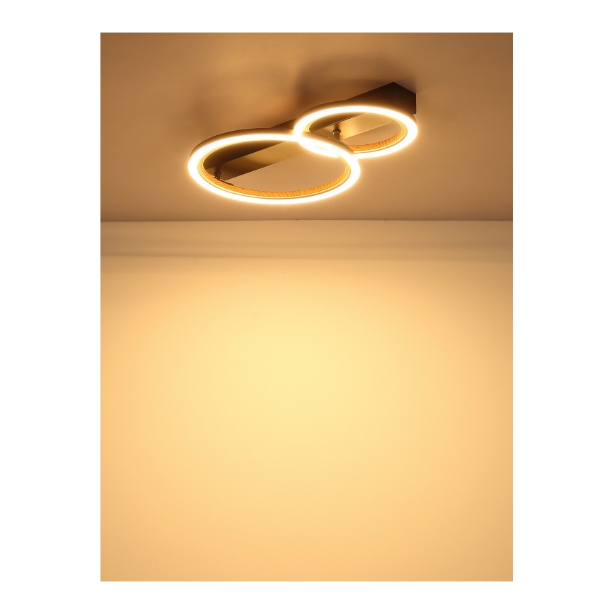 Globo - LED-kattovalaisin LED/30W/230V 3000K 44x30 cm