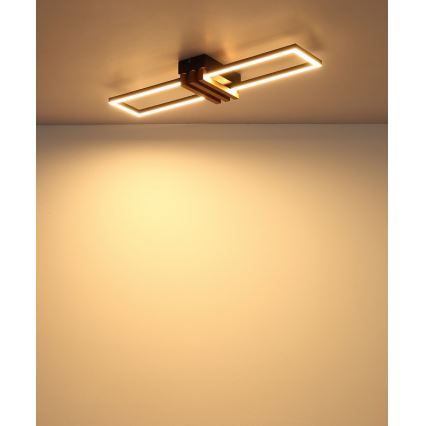 Globo - LED-kattovalaisin 20W/230V 3000K 60x16,8 cm