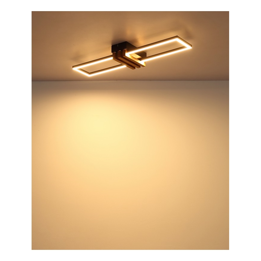 Globo - LED-kattovalaisin 20W/230V 3000K 60x16,8 cm