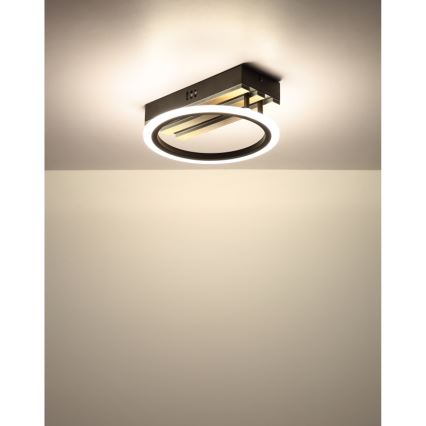 Globo - LED-kattovalaisin LED/10W/230V 3000/4200/600K 25x25 cm