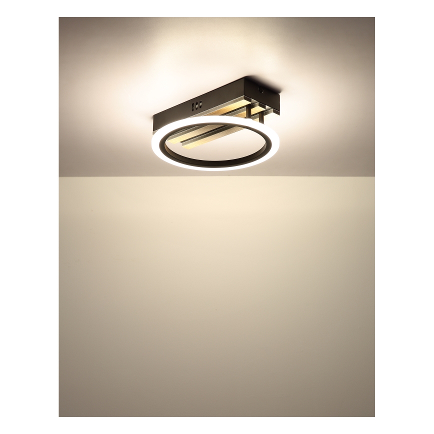 Globo - LED-kattovalaisin LED/10W/230V 3000/4200/600K 25x25 cm