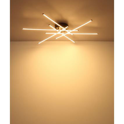 Globo - LED-kattovalaisin LED/40W/230V 3000K musta