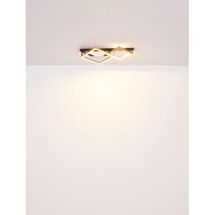 Globo - LED-kattovalaisin LED/24W/230V 3000K