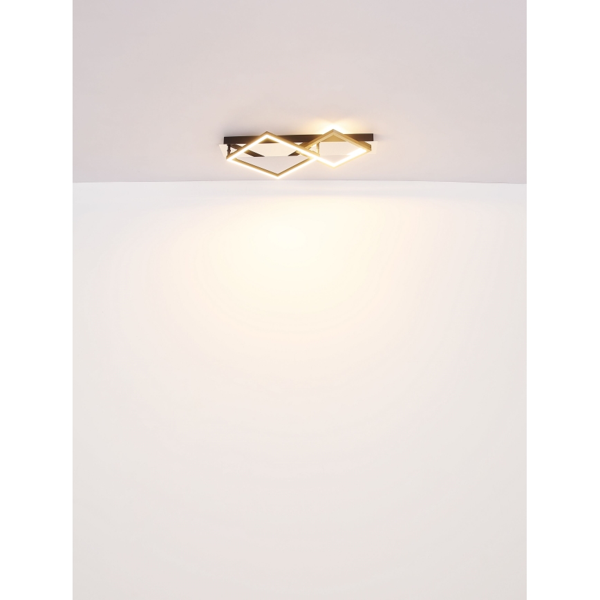 Globo - LED-kattovalaisin LED/24W/230V 3000K