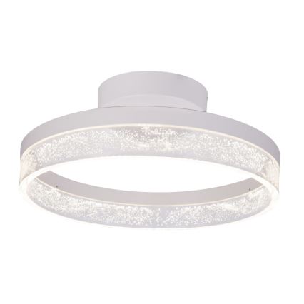 Globo - LED-kattovalaisin LED/24W/230V