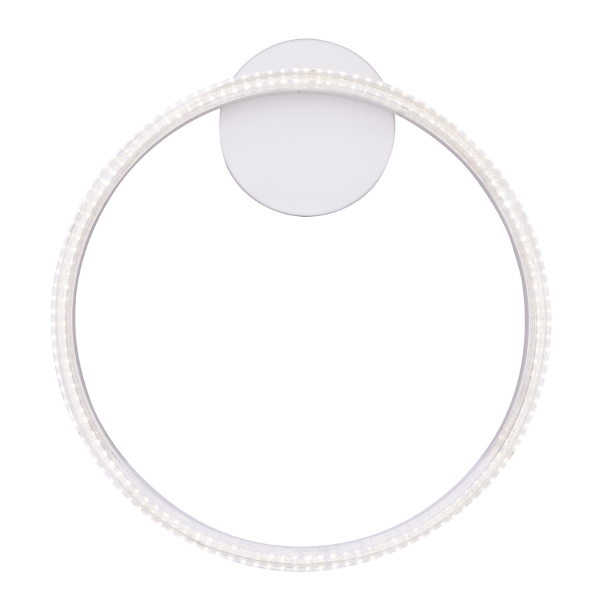 Globo - LED-kattovalaisin LED/24W/230V