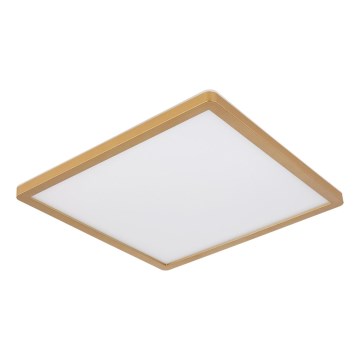 Globo - Himmennettävä kylpyhuoneen LED-kattovalaisin LED/24W/230V 3000K IP44 42x42 cm messinki