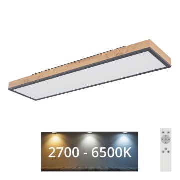 Globo - Himmennettävä LED-kattovalaisin LED/24W/230V 2700-6500K + kauko-ohjaus