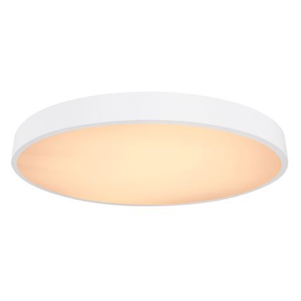 Globo - LED himmennettävä kattovalaisin LED/48W/230V 3000-6000K + kaukosäädin