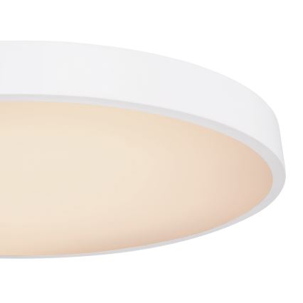 Globo - LED himmennettävä kattovalaisin LED/48W/230V 3000-6000K + kaukosäädin