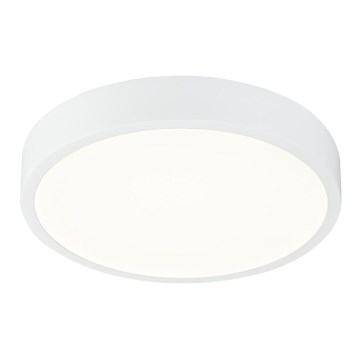 Globo - LED Himmennettävä kattovalo LED/22W/230V