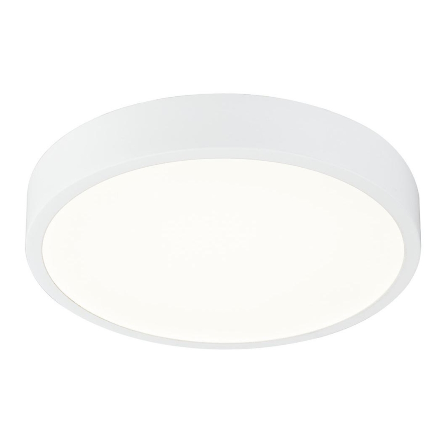 Globo - LED Himmennettävä kattovalo LED/22W/230V