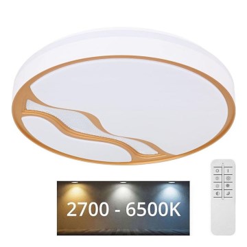 Globo - LED Himmennettävä kattovalo LED/30W/230V 2700K/4000K/6500K + kaukosäädin