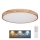 Globo - LED Himmennettävä kattovalo LED/60W/230V 3000-6000K + kaukosäädin