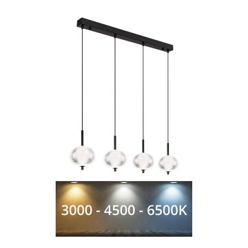 Globo - LED-kattokruunu johdossa 4xLED/5,75W/230V 3000/4500/6500K