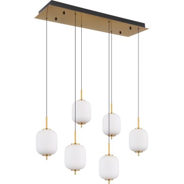 Globo - LED-kattokruunu johdossa 6xLED/6,7W/230V