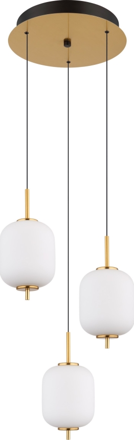Globo - LED-kattokruunu johdossa LED/20W/230V
