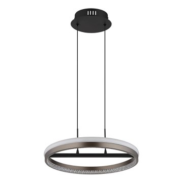 Globo - LED-kattokruunu johdossa LED/40W/230V 3000/4000/6000K halkaisija 39,7 cm ruskea