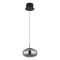 Globo - LED-kattokruunu johdossa LED/6W/230V musta