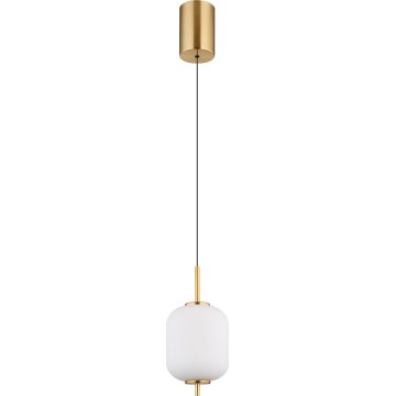 Globo - LED-kattokruunu johdossa LED/7W/230V