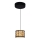 Globo - LED-kattokruunu narussa LED/6W/230V