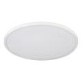 Globo - LED-kattovalaisin 20 W / 230 V / 4000 K, Ø 30 cm, valkoinen