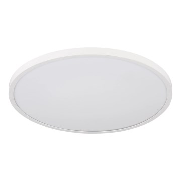Globo - LED-kattovalaisin 20 W / 230 V / 4000 K, Ø 30 cm, valkoinen