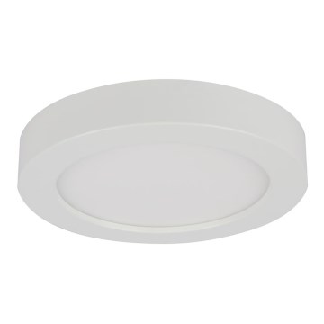 Globo - LED-kattovalaisin kylpyhuoneessa 1xLED/18W/230V IP44