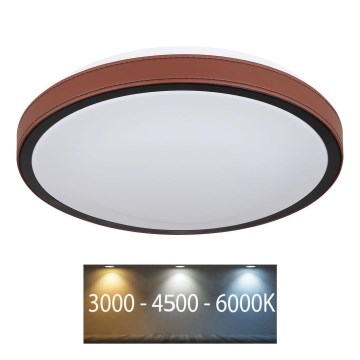 Globo - LED-kattovalaisin LED/12W/230V 3000/4500/6000K halkaisija 30 cm
