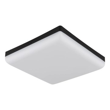 Globo - LED-kattovalaisin LED/12W/230V 4000K 22x22 cm musta