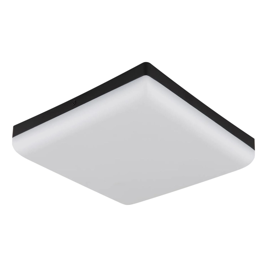 Globo - LED-kattovalaisin LED/12W/230V 4000K 22x22 cm musta
