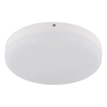 Globo - LED-kattovalaisin LED/12W/230V 4000K halkaisija 22 cm valkoinen