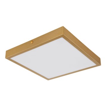 Globo - LED-kattovalaisin LED/15W/230V 25x25 cm